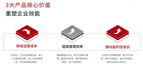 同心雁s erp 破解銷售型企業(yè)管理痛點的一體化解決方案